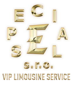 logo vip limousine service karlovy vary